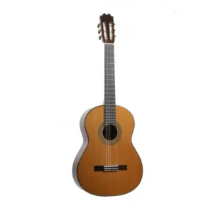 AT-15SE Cut Abeto CEQ Fishman Con Cutaway