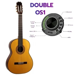 ATF-17NE CUT F17 EQ Negra de Palo Santo con EQ DOUBLE OS1 Con Cutaway