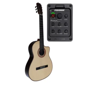ATF-17NE CUT Negra de Palosanto Con Cutaway y EQ Fishman PSY-301