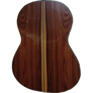 ATF-17SE CUT F17 EQ Negra de Santos con EQ fishman Con Cutaway